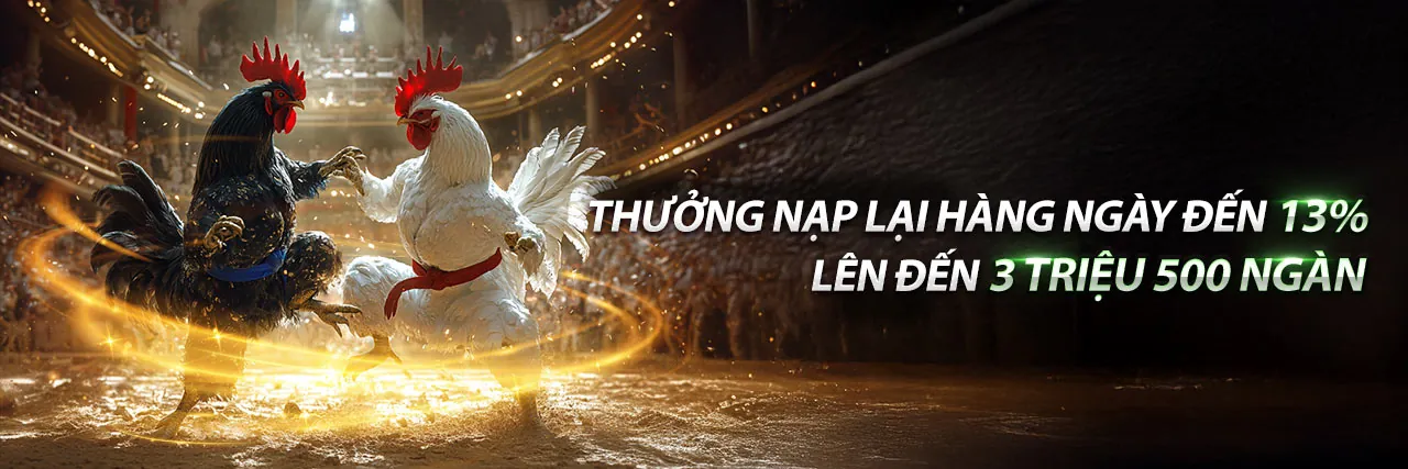 Đá Gà 997bet Casino - Sảnh cược kịch tính